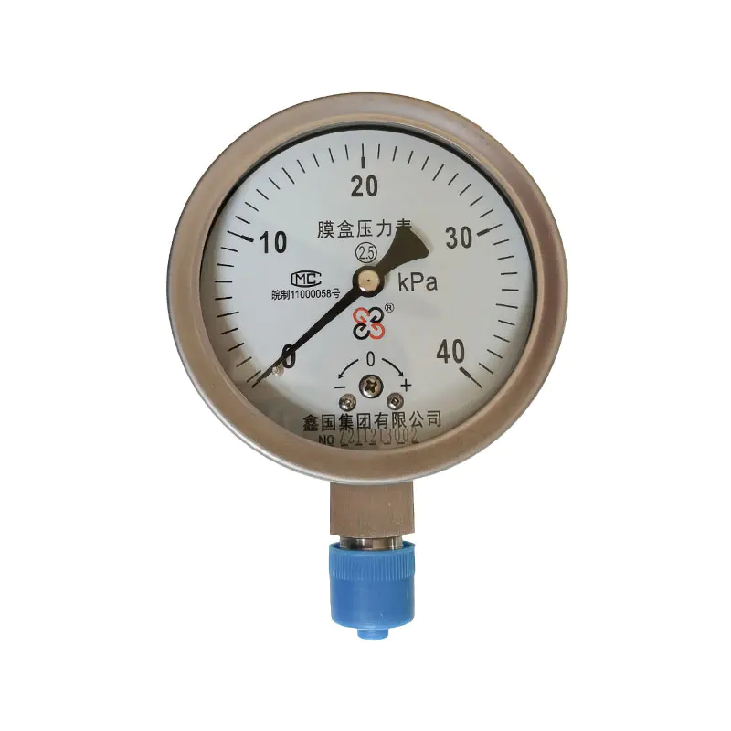 XG/YE-100, manometro con scatola a membrana serie 150